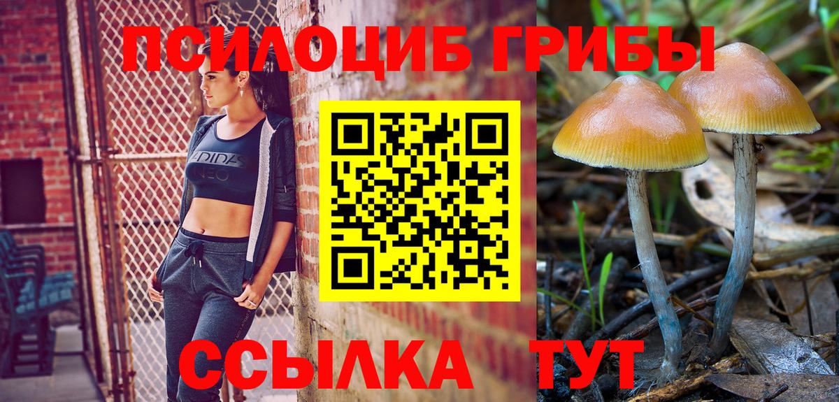 Петрозаводск  Псилоцибиновые грибы мухоморы  Вход с VPN  Галлюциногенные грибы Magic Shrooms 