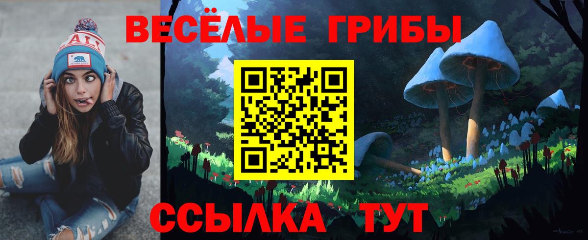 Галлюциногенные грибы MAGIC MUSHROOMS Петрозаводск