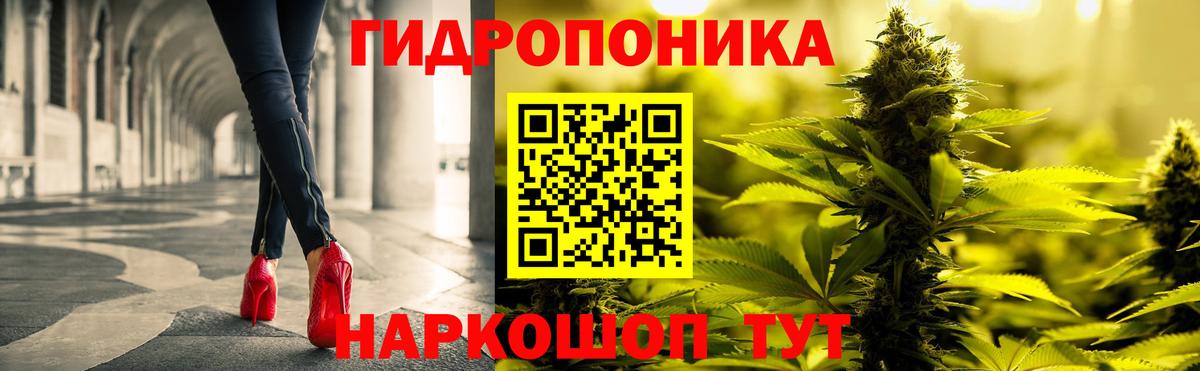 МАРИХУАНА OG Kush Петрозаводск